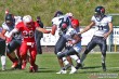 Thumbs/tn_IMG_5178.jpg