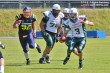 Thumbs/tn_IMG_6322.jpg
