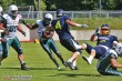 Thumbs/tn_IMG_6546.jpg