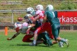 Thumbs/tn_RL101-05.jpg