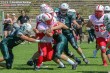 Thumbs/tn_RL101-10.jpg