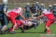 Thumbs/tn_RL101-17.jpg