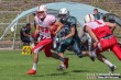 Thumbs/tn_RL101-22.jpg