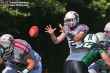 Thumbs/tn_IMG_9375.jpg