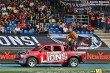 Thumbs/tn_HMG_9636.jpg