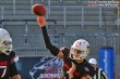 Thumbs/tn_IMG_0513.jpg