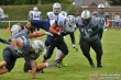 Thumbs/tn_IMG_0912.jpg