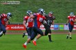 Thumbs/tn_IMG_1751.jpg
