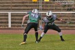 Thumbs/tn_IMG_1879.jpg