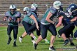 Thumbs/tn_IMG_2065.jpg