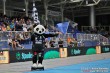 Thumbs/tn_IMG_2591.jpg