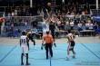 Thumbs/tn_IMG_3006.jpg
