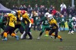 Thumbs/tn_IMG_4367.jpg