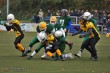 Thumbs/tn_IMG_4372.jpg