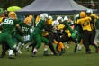 Thumbs/tn_IMG_4431.jpg
