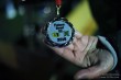 Thumbs/tn_IMG_4598.jpg