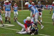 Thumbs/tn_IMG_3004.jpg