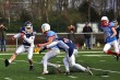 Thumbs/tn_IMG_3068.jpg
