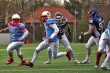 Thumbs/tn_IMG_3163.jpg