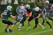 Thumbs/tn_IMG_5226.jpg