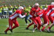 Thumbs/tn_IMG_5676.jpg