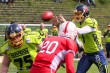 Thumbs/tn_IMG_5705.jpg