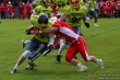 Thumbs/tn_IMG_5772.jpg
