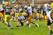 Thumbs/tn_IMG_6239.jpg
