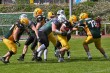 Thumbs/tn_IMG_6379.jpg