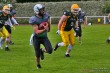 Thumbs/tn_IMG_6517.jpg