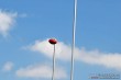 Thumbs/tn_IMG_7456.jpg