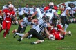 Thumbs/tn_IMG_7619.jpg