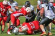 Thumbs/tn_IMG_7690.jpg