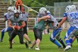 Thumbs/tn_IMG_8119.jpg
