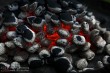 Thumbs/tn_IMG_8248.jpg