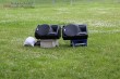 Thumbs/tn_IMG_8305.jpg