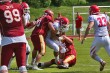 Thumbs/tn_IMG_8560.jpg