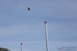 Thumbs/tn_IMG_8590.jpg