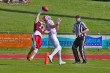 Thumbs/tn_IMG_8801.jpg