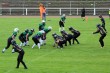 Thumbs/tn_IMG_9241.jpg