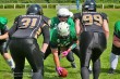 Thumbs/tn_IMG_9312.jpg
