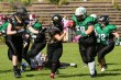 Thumbs/tn_IMG_9330.jpg