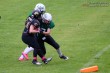 Thumbs/tn_IMG_9447.jpg