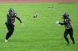 Thumbs/tn_IMG_9517.jpg