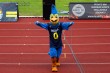 Thumbs/tn_IMG_0771.jpg