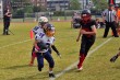 Thumbs/tn_IMG_1187.jpg