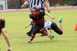 Thumbs/tn_IMG_1210.jpg