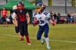 Thumbs/tn_IMG_1256.jpg