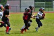 Thumbs/tn_IMG_1332.jpg