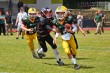 Thumbs/tn_IMG_1430.jpg